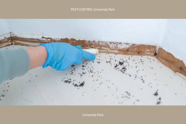 PEST CONTROL University Park